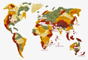Connect With Us - World Map Of Food