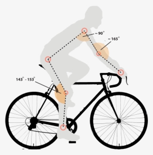 Svg Transparent Library Bike Transparent Plastic - Fixie Bikes For Sale