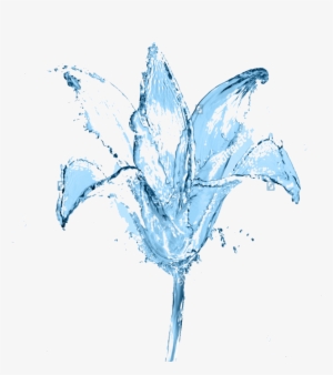 0 Picture, Flower In The Water - Water
