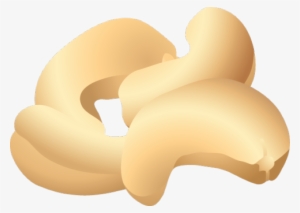 Cashew Clipart Png