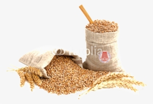 Possible To Pack Any Size As Per Customer Requirement - Bag Wheat Png