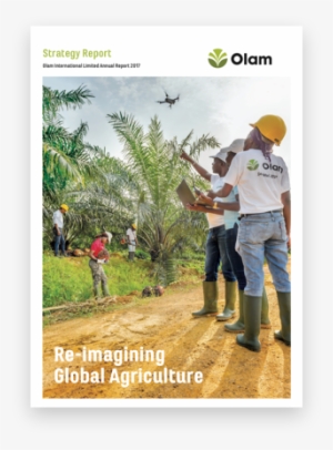 Annual Report - Report