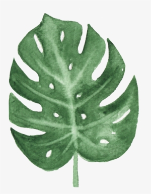 The Green Banana Leaf Watercolor Transparent Buckle - Watercolor Leaves Png Transparent