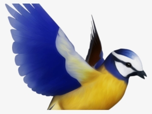 Flying Bird Clipart Bird Png - Desenho De Pássaro Colorido