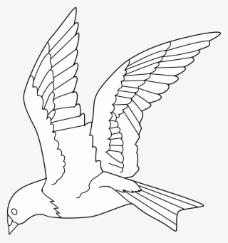 Flying Birds Clipart Gallery Bird Black And White - Flying Parrot Line Drawing