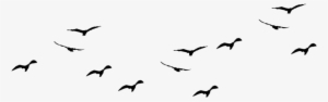 16 Bird Flying Free Cliparts That You Can Download - Flock