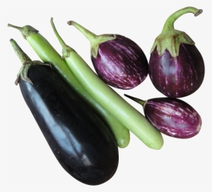 Brinjal Eggplant Png Image - Brinjal Png