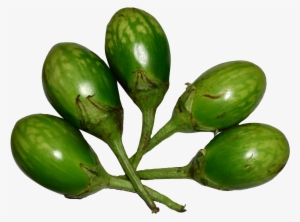 Brinjal Green Png Image - Brinjal Green Png