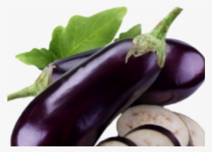 Egg Plant