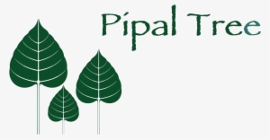 Welcome To Pipal Tree - Vinegar Tree