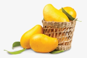 Lassi For Free Download On Mbtskoudsalg - Mango In Basket