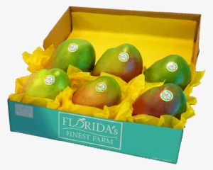 Fff Fresh-mango - Season