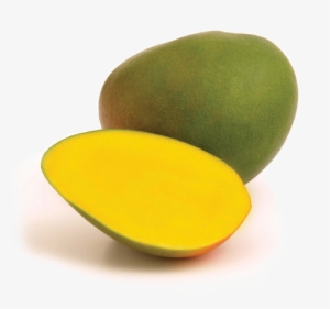 Mango - Kent - Manga Kent