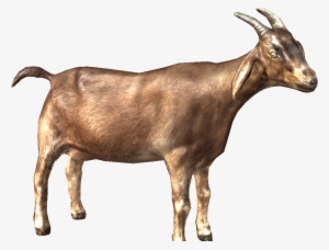 Goat Png Images - Alpne Goat