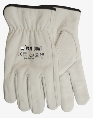 Download Product Photo - Hand