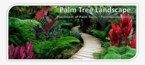 Placement Of Palms Banner - Plants To Go With Palm Trees
