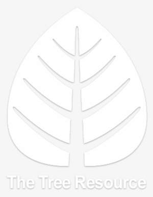 2018 The Tree Resource - Illustration