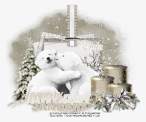 My Sweet Teddy Bear - Polar Bear