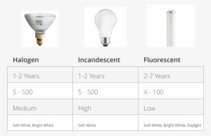 Types Of Bulbs Chart - Incandescent Light Bulb