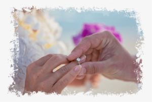 Maldives - Wedding - Tuna
