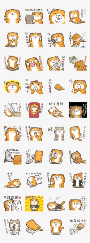 He Treats Everything With That Stupid Overreacted Attitude - Haughty Smelly Cat Telegram Stickers