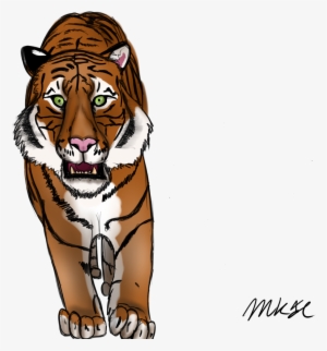Drawn Tiger Mad Tiger - Drawing Of Mad Tiger