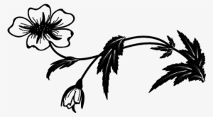 Visit - Flores En Png Negras