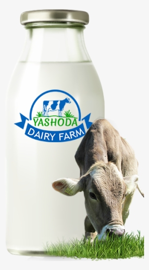 We Deliver To The Customer Within Two-three Hrs After