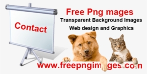 Free Png Images Contact Us