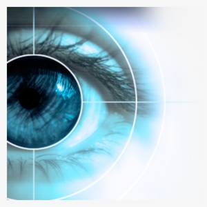 Contact Lenses - E-sight Journal: 365 Day Journal Diary Notebook [book]