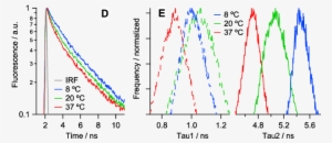 Fluorescence Lifetime Imaging Of Porcine Eye Lens Slices - Plot