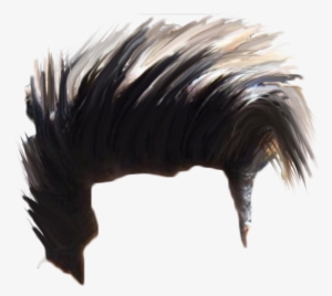 Hair Png Download Hd Quality - Picsart Photo Studio