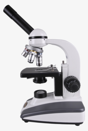 Clipart Transparent Stock Microscope Clipart Transparent - Highest Magnification Of A Light Microscope