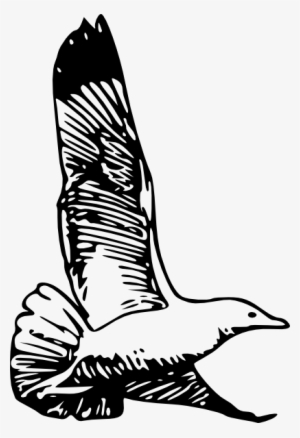 How To Set Use Flying Bird Svg Vector