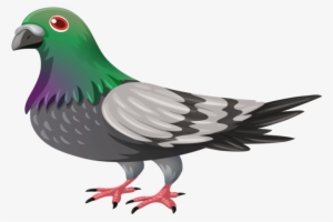 Yükle Pigeon Png Transparent Png Image (transparent - Pigeon Clipart Transparent Background