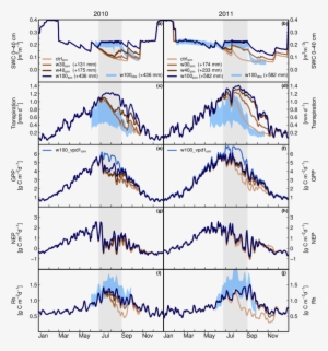 Effects Of Experimentally Decreased Summer Drought - Plot