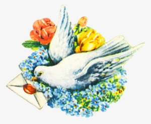 Pigeon With Letter And Flowers - Flower