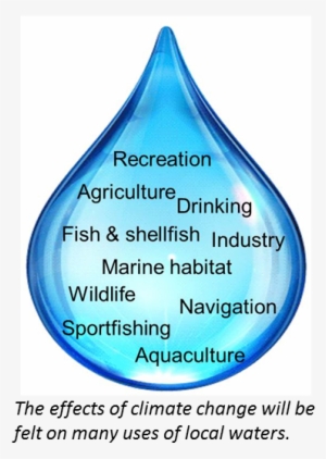 The Direct And Indirect Effects Of Climate Change Have - Best Introduction For Climate Change