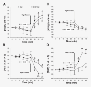 Effects Of 5 Hd On The Metabolic Status Of The Heart - Chemistry