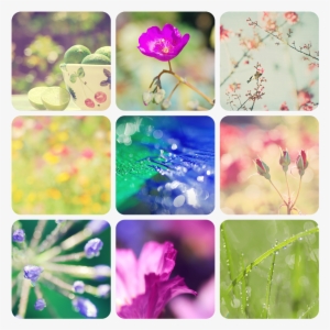 52 - Photography