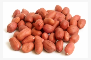 Ground Nuts (kg) - Арахис Сырой