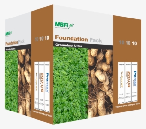 Groundnut 101010 - Peanut
