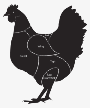 Chicken Images Png