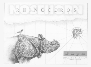 Joya Pencil Drawing - Drawing