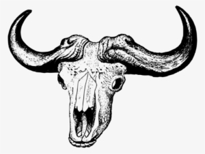 African Buffalo Skull Computer Icons American Bison - Buffalo Skull Drawing Png