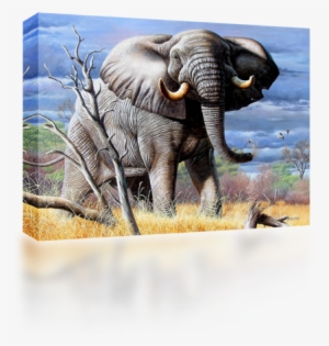 African Grey Elephant - African Collage