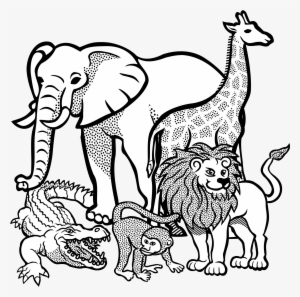African Buffalo Clipart Clip Art