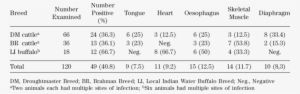 Distribution Of Sarcocystis Spp - Number
