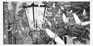 The Heart In Farming - Vintage Laternen-leuchtkäfer-libellen Karte