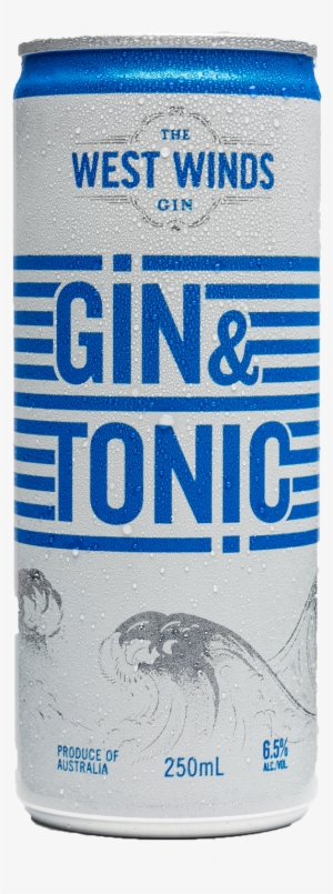 The West Winds Gin Sabre Gin And Tonic Cans 250ml - West Winds Gin And Tonic